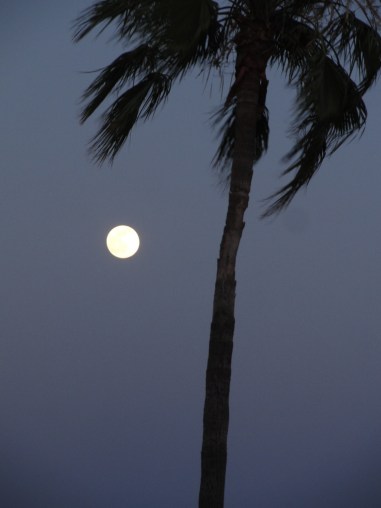 Moon in Tucson. Photo:  PhanCanhLoi.  