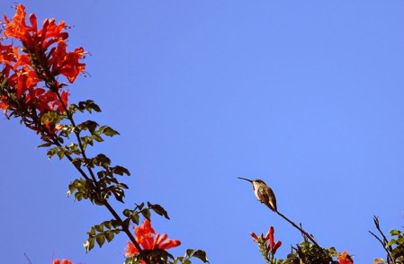 Dung-9W8A5357-new-con-bri-900