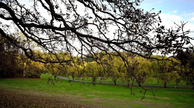 Tung 2014 - Thu Victoria