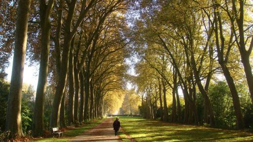 Bourges-Muà Thu 2014 082-a