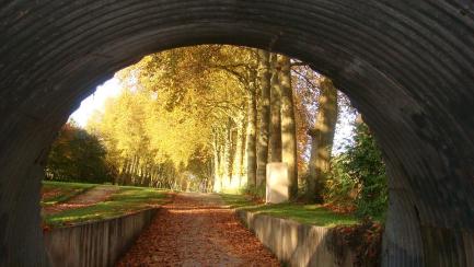 Bourges-Muà Thu 2014 107-a