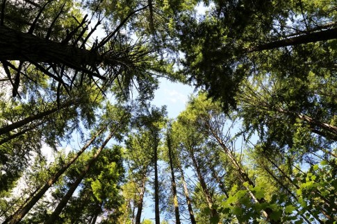 All is meaningless, all is vanity except that sky ! – Photo: Vandungsilk