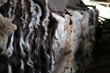 Dung - 9W8A3583-da-thu-900