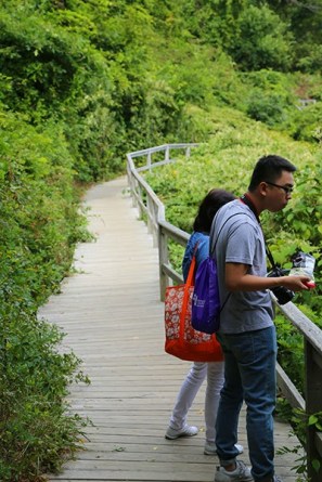 Dung-9W8A3591-cau-go-400