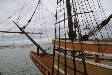 Dung mayflower 9W8A3706-DuoiThuyen-900