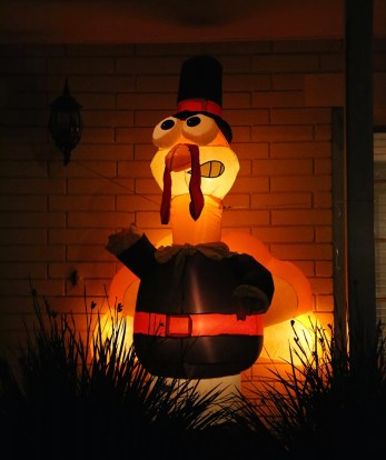 Dung2-9W8A0041-GaTay-900