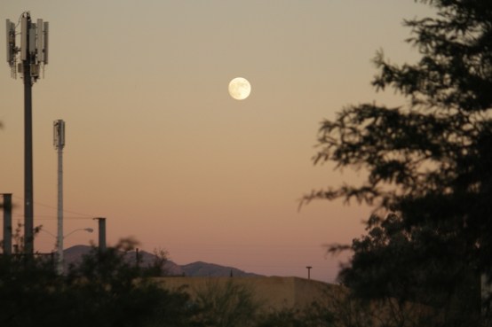 LoiMai - Moon Tucson