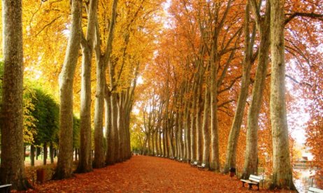 MN - Bourges 2011 Vuon Pres Fichaux