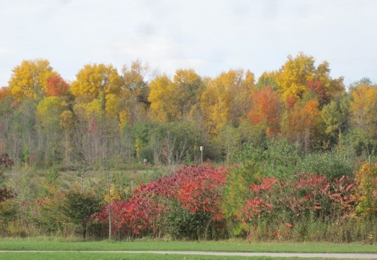 ???????????????????????????????