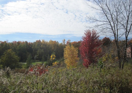 ???????????????????????????????