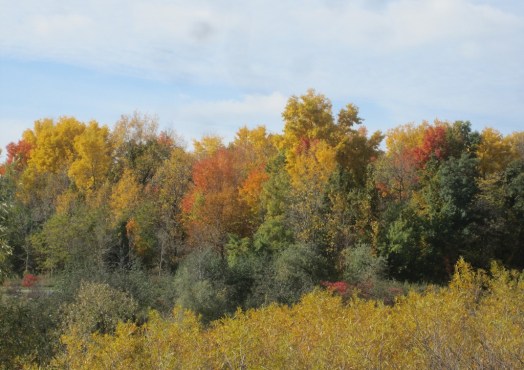 ???????????????????????????????