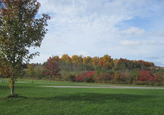 ???????????????????????????????