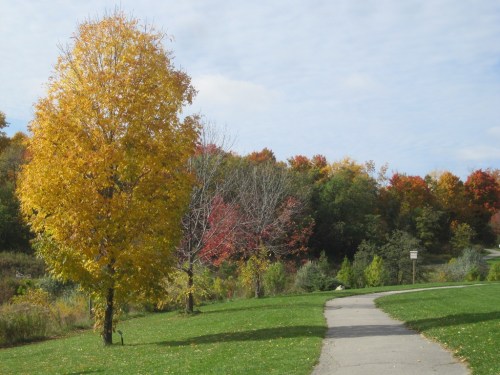 ???????????????????????????????