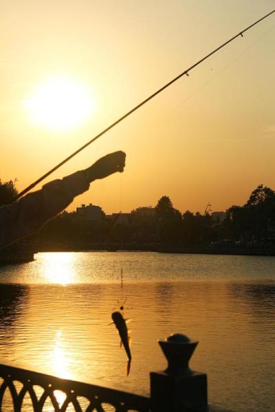 'Thư giãn' ven kênh dù bị cấm. 