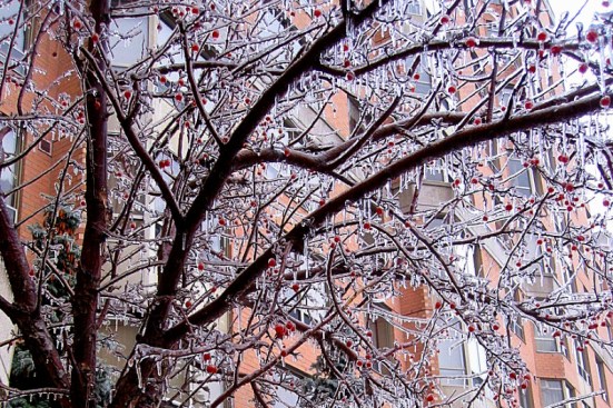 Photo: Hoàng Trọng