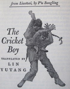 cricket boy