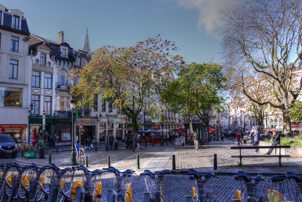 DSC_9566_r