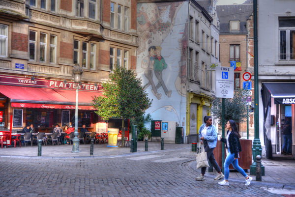 DSC_9584_r