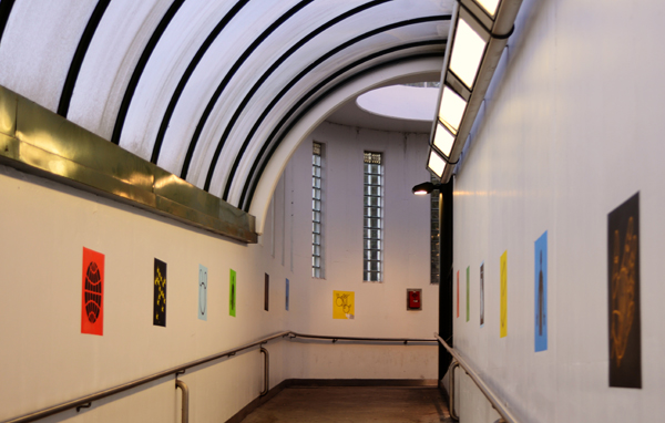 DSC_9586_r