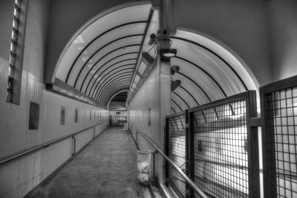 DSC_9588_r