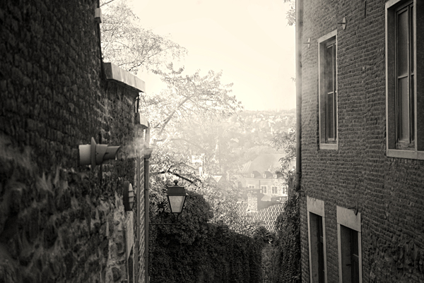 DSC_9639_r