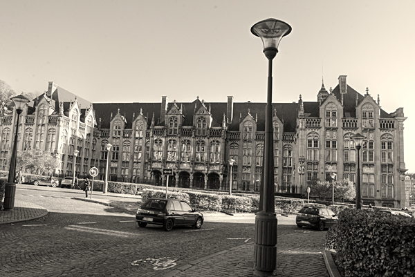 DSC_9648_r