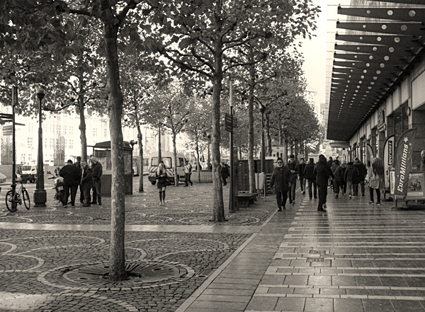 DSC_9651_r