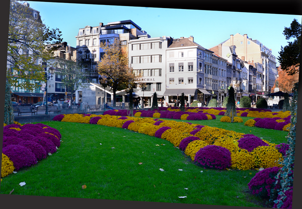 DSC_9660_r